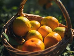 -滨江森林公园-真人CS野战场