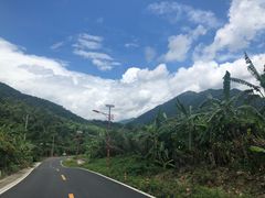 -海南热带雨林国家公园吊罗山景区