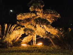 -杭州龙禧福朋喜来登酒店