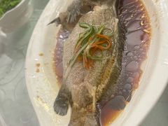 -锦江饭店锦北楼-锦江厅