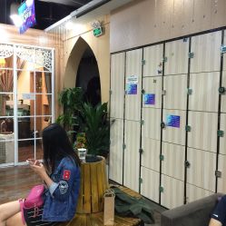 picture-YESIDO椰岛造型