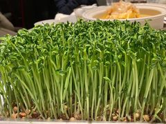豆苗-领鲜天下·焗海鲜·花胶鸡(天目里店)