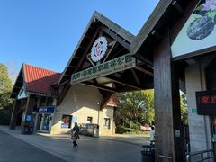 -上海海湾国家森林公园