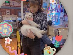 -猫小院猫主题咖啡厅(北锣店)