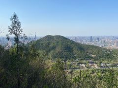-佛慧山