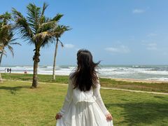 -津可佳·和树银海杂粮