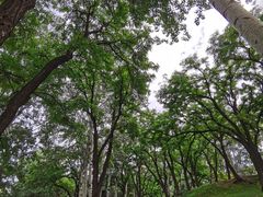 -元大都城垣遗址公园