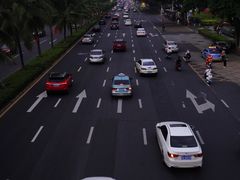 -万绿园
