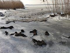 -苏州太湖国家湿地公园