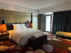 -南京禄口机场雅高铂尔曼大酒店