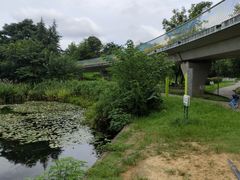 -白鹭湾湿地公园