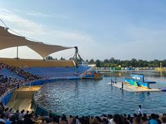 -秦皇岛乐岛海洋王国