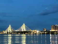 -万绿园