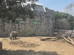 -无锡动物园·太湖欢乐园