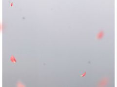 -合肥蜀山万象汇