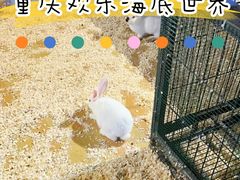 -重庆欢乐海底世界