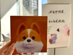 -沈阳铁西万象汇