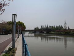 -高东镇樱花园