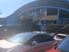 -泉城欧乐堡海洋极地世界