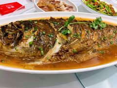 野生南湾鱼-解家河南菜(商鼎路店)