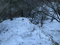 -老味道1992(武当山店)