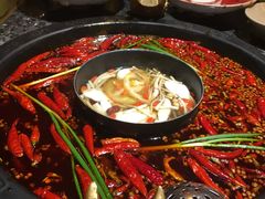 -蜀大侠火锅(建设路第五大道店)