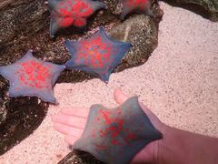 -沈阳海洋探索中心