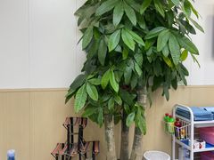 -郑远元·修脚·足道(华茂苑店)