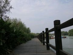 -艾溪湖湿地公园