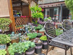-山菌美食苑(振兴路店)