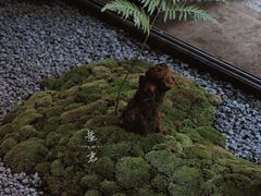 -Metal hands·铁手咖啡