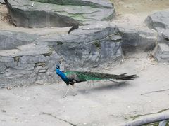 -南昌动物园
