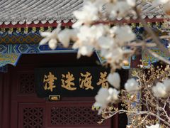 -天津大悲禅院