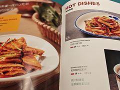 -巴依老爷新疆美食(望京小街店)