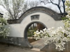 -颐和园