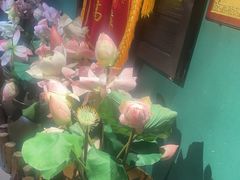 -小凤庭·地道湖北菜武昌鱼·藕汤(38年黄鹤楼店)