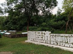 -白鹭湾湿地公园