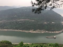 -铁山坪森林公园