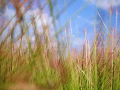 -汉长安城未央宫国家考古遗址公园