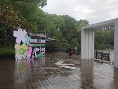 -金鸡湖桃花岛