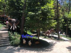 -东明山森林公园