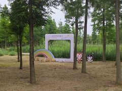 -溱湖国家湿地公园