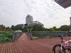 -月湖风景区