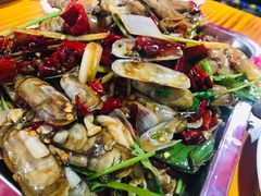 炒蛏子-老黑板筋(顺义总店)