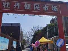 -曹州牡丹园