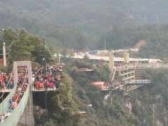 -梦幻奥陶纪景区