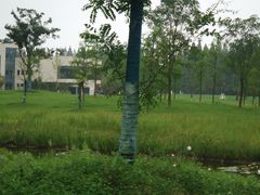 -黄海国家森林公园