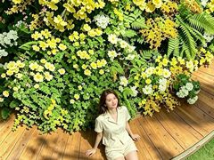 -瑞虹新天地月亮湾