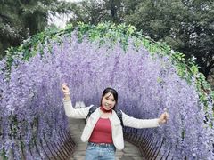 -石燕湖生态旅游景区