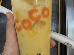 -CoCo都可(北苑K酷店)